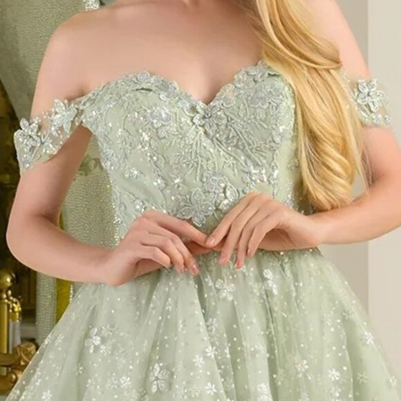 New Off Shoulder Mini Mesh Formal Dress w/ Butterfly Appqliue & Sequins GS368 - Picture 5 of 9